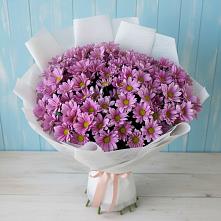 Букет цветов из:  Хризантемы #REPLACE_PRED# Николо-Урюпино