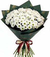 Букет цветов из:  Хризантемы в Николо-Урюпино