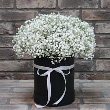 Цветочная композиция из Гипсофила в шляпной коробке в Николо-Урюпино