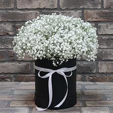 Цветочная композиция из Гипсофила в шляпной коробке в Николо-Урюпино